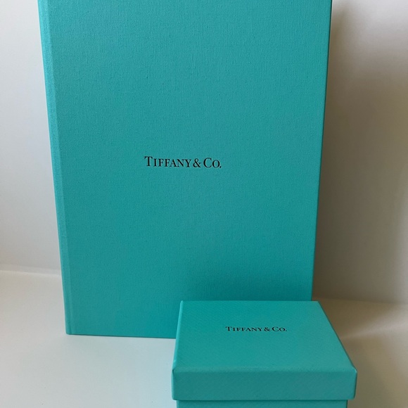 Tiffany & Co. Silver Solitaire Earrings - Picture 14 of 16